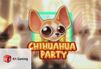 Chihuahua Party